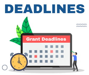grant writing process